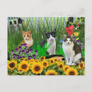 Carte Postale Tuxedo Chat en Jardin Fleur / Collage Art