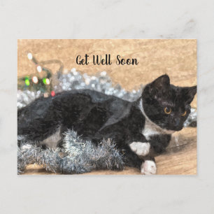 Carte Postale Tuxedo Kitten Ruban et Lumières Remise sur pied