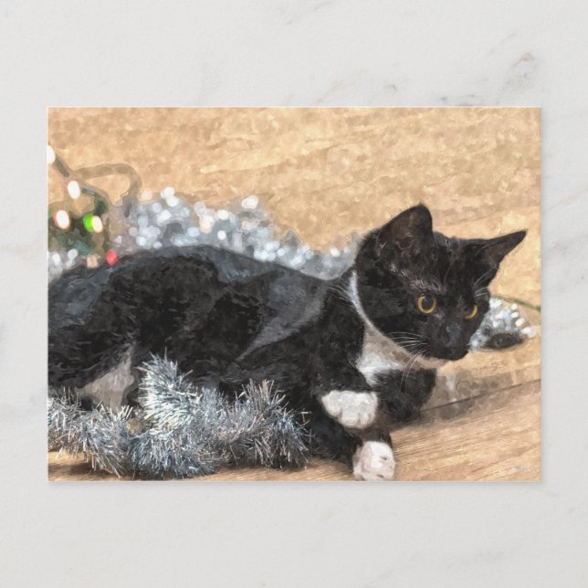 Carte postale Tuxedo Kitten Tinsel et Lights (Devant)