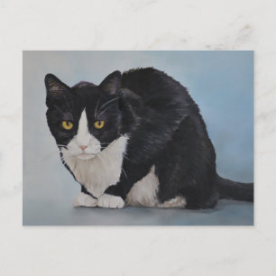Carte postale Tuxedo noir blanc intérieur Shorthai