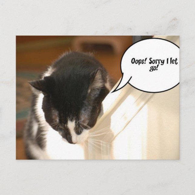 Carte Postale tuxedo noir et blanc Chat (Devant)