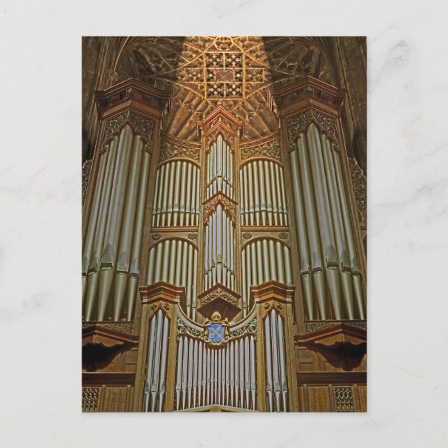 Carte Postale Tuyaux d'orgue (2) (Devant)