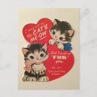 Carte Postale Two Cute Kittens Vintage Valentine Postcard