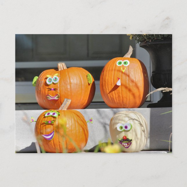 Carte Postale Types de citrouilles (Devant)