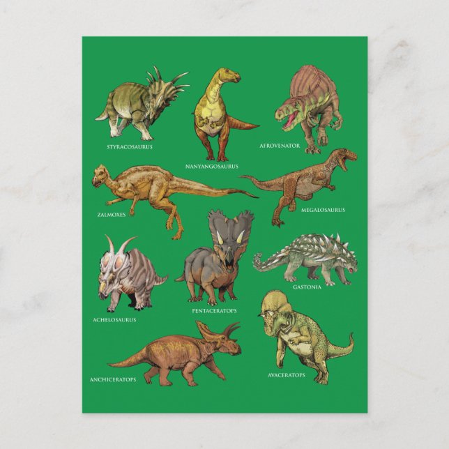 Carte Postale Types d'illustrations de dinosaures (Devant)