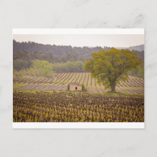 Carte Postale Typically french