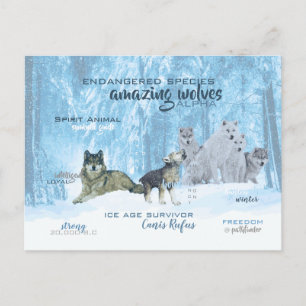 Carte Postale Typographie Extraordinaire des loups   Personnalis