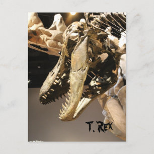 Carte Postale Tyrannosaurus # 2