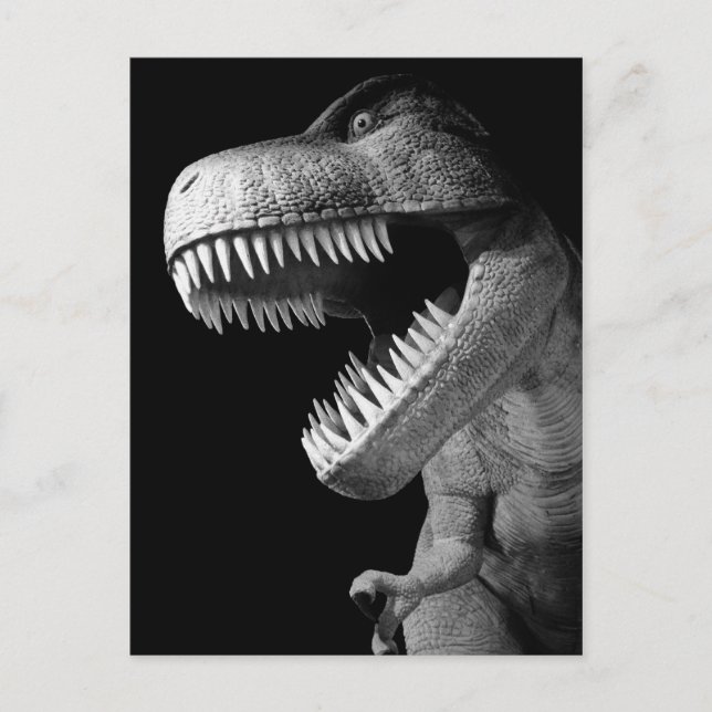 Carte Postale Tyrannosaurus Rex (Devant)