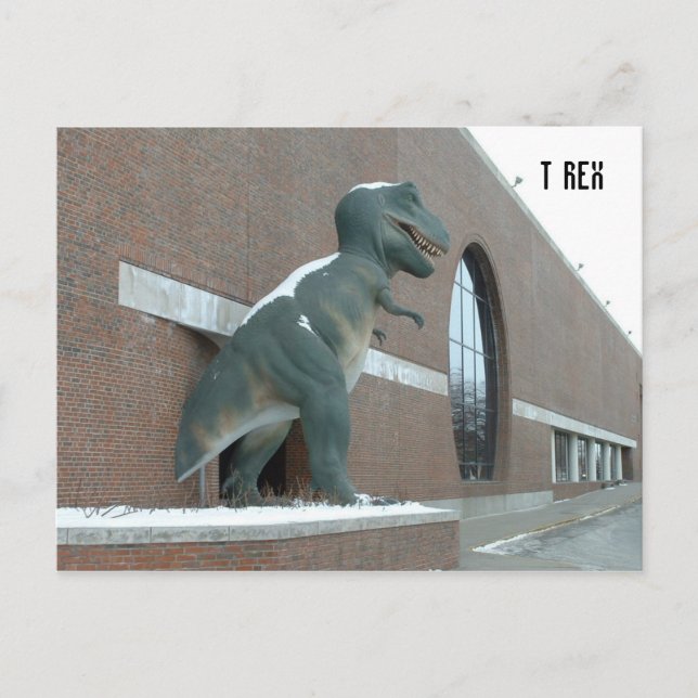 Carte Postale Tyrannosaurus Rex (Devant)
