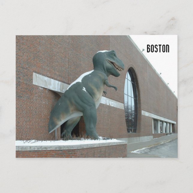 Carte Postale Tyrannosaurus Rex (Devant)