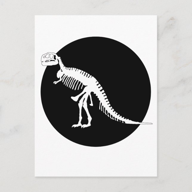 Carte Postale Tyrannosaurus Rex (Devant)