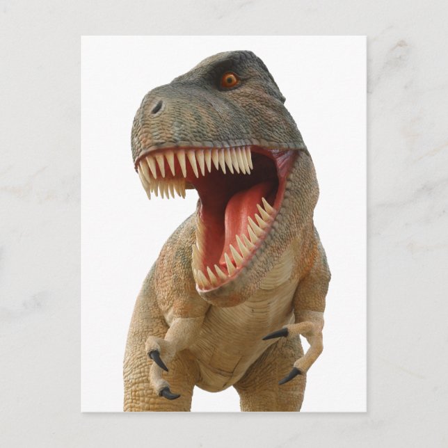 Carte Postale Tyrannosaurus Rex (Devant)