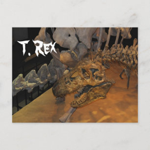Carte Postale Tyrannosaurus Rex # 1