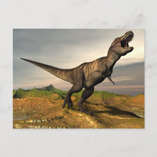 Carte Postale Tyrannosaurus rex dinosaure - rendu 3D (Devant)