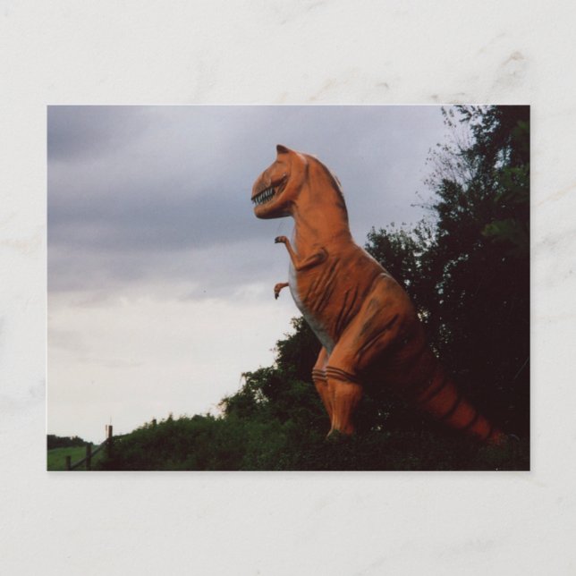 Carte postale Tyrannosaurus Rex T-Rex Dinosaur Pho (Devant)