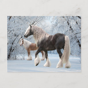 Carte postale "Tziganes de neige"