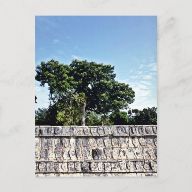 Carte Postale Tzompantli-Mur De Crânes, Chichen Itza (Devant)