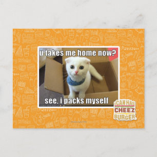 Carte Postale U me prennent à la maison maintenant ?