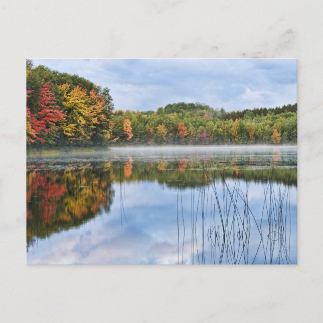 Carte Postale U. P. Michigan Automne Réflexions (Devant)