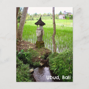 Carte postale Ubud Bali Indonésie rizfield Temple