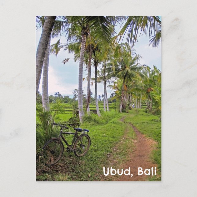 Carte postale Ubud Bali Indonésie rizières rizière (Devant)