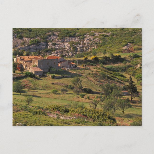 Carte Postale UE, France, Provence, Bouches, du, Rhône, 9 (Devant)