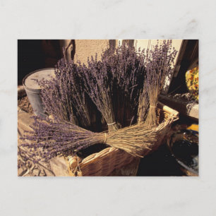 Carte Postale UE, France, Provence, Bouches, du, Rhône, Les