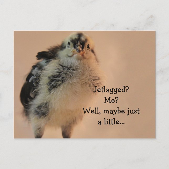 Carte Postale Ugly Chick (Devant)