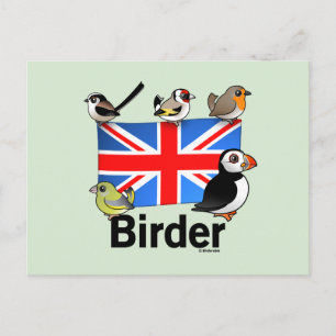 Carte Postale UK Birder