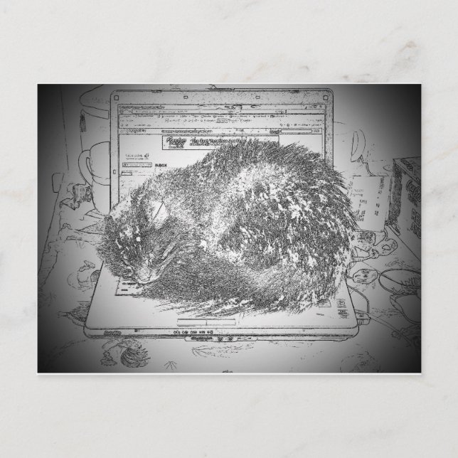 Carte Postale Un Ange Grumpy Sur Un Lap cat Portable ? (Devant)