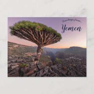 Carte Postale Un arbre à sang de dragon à Socotra Yemen