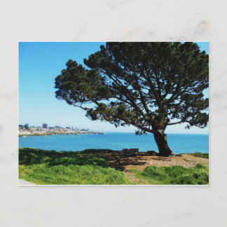 Carte Postale Un Arbre Pour Toutes Les Saisons