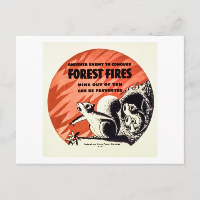 Carte Postale Un autre ennemi à la conquête des feux de forêt Vi (Devant)