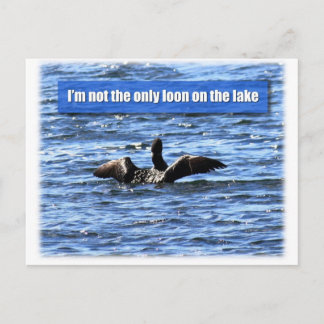 Carte Postale Un autre Loon sur le lac