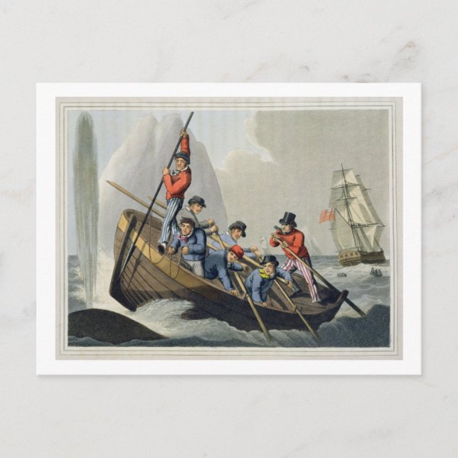 Carte Postale Un bateau attaque une baleine, gravé par Matth (Devant)