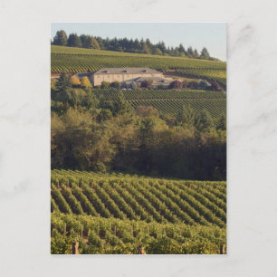 Carte Postale Un bâtiment en bronzage au sommet du tir à l'arc s