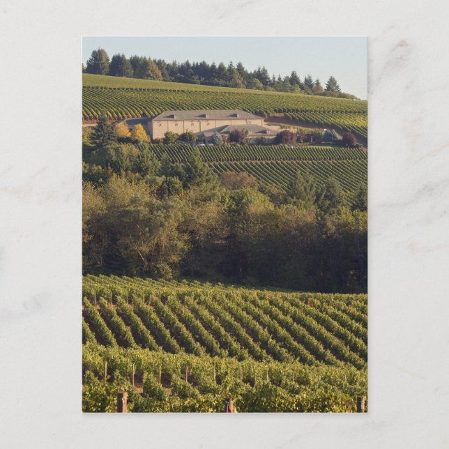 Carte Postale Un bâtiment en bronzage au sommet du tir à l'arc s (Devant)
