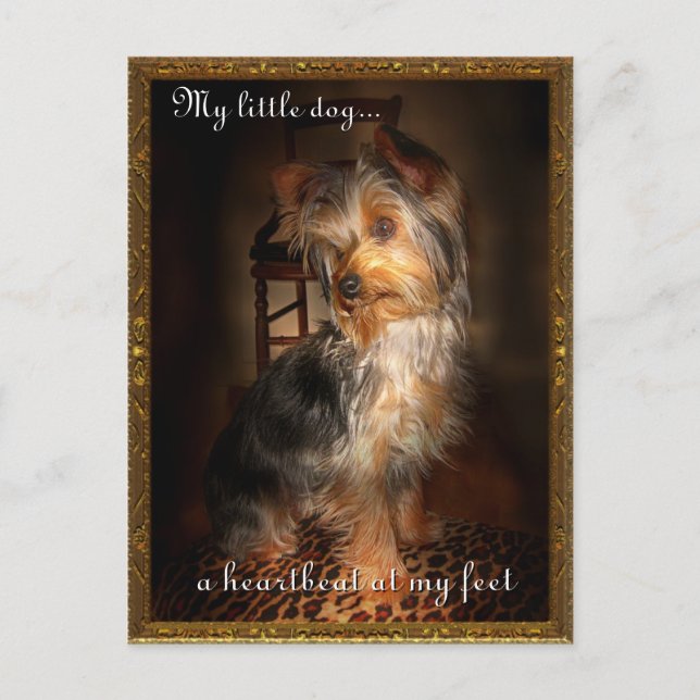 Carte Postale Un battement de coeur à mes pieds (Devant)