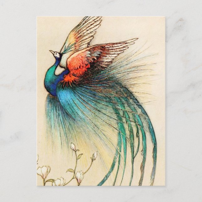 Carte Postale Un Beau Oiseau s'envole du Juniper Tree (Devant)