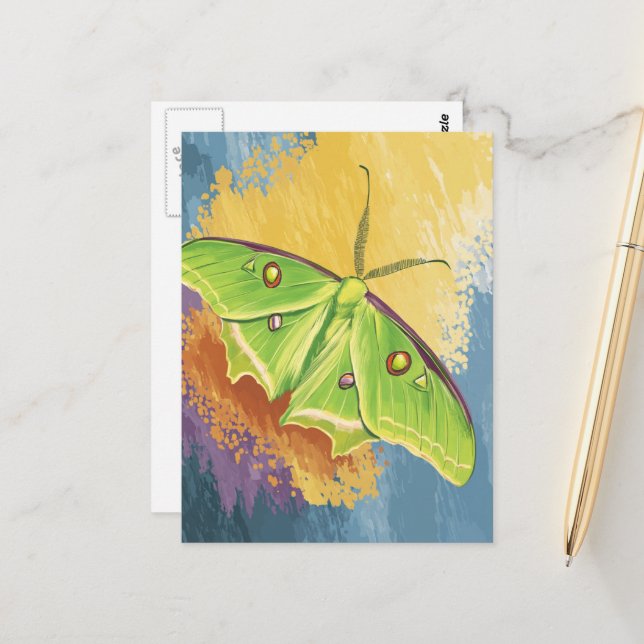Carte Postale Un beau papillon de nuit (Devant/Arrière en situation)