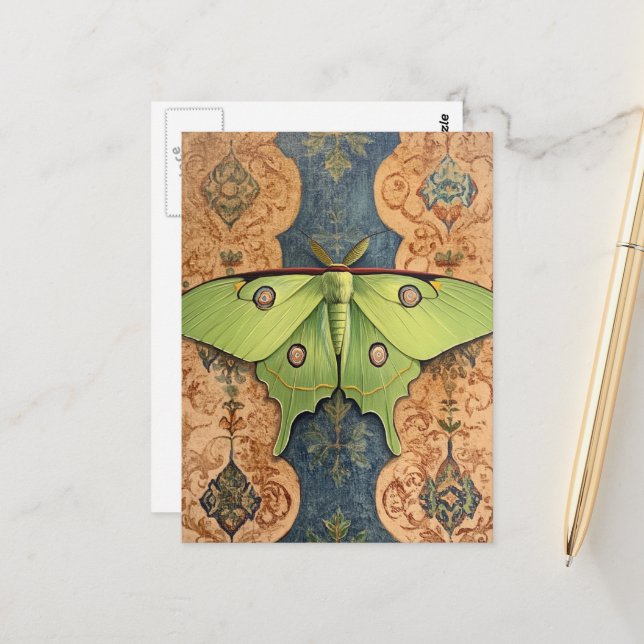 Carte Postale Un beau papillon de nuit vert fond bleu marron (Devant/Arrière en situation)