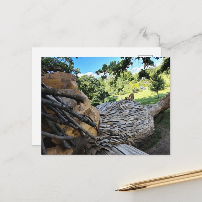 Carte Postale Un beau troll avec des cheveux de bois dort (Devant/Arrière en situation)