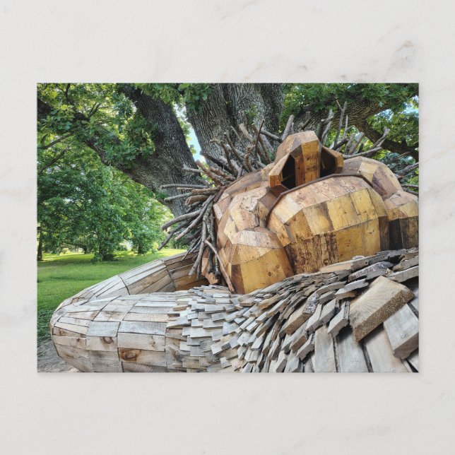 Carte Postale Un beau troll dort sous un arbre (Devant)