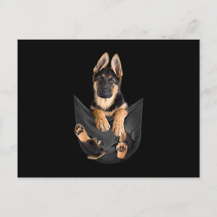 Carte Postale Un Berger Allemand Dans Un Amant De Chien De Poche