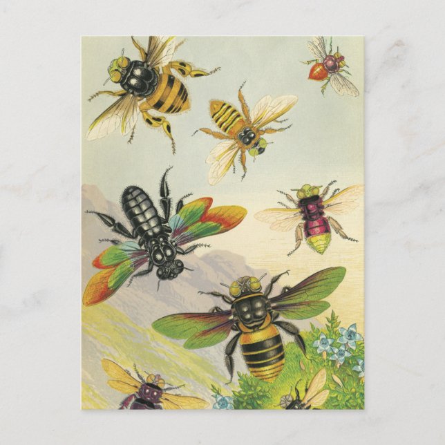 Carte postale Un Bevy de belles abeilles (Devant)