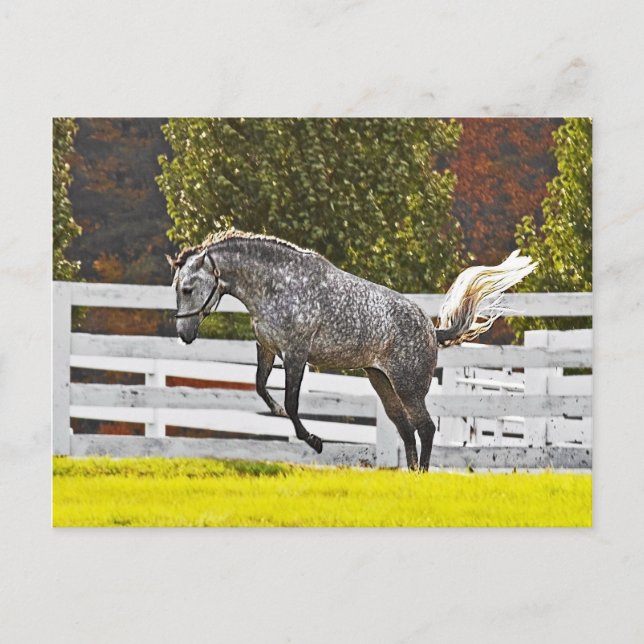 Carte Postale Un bond joyeux (Devant)