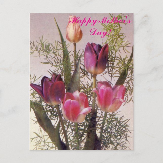 Carte Postale Un bouquet de tulipes roses de différentes teintes (Devant)