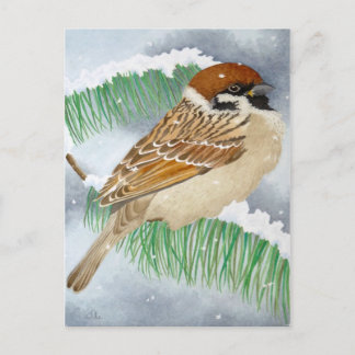 Carte Postale Un Bruant en hiver