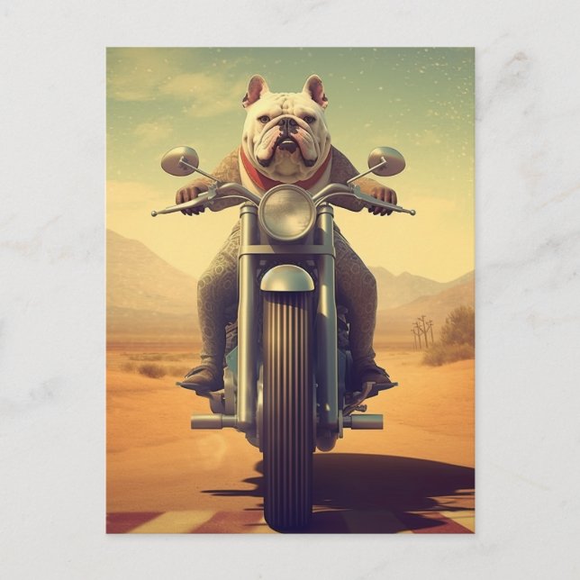 Carte Postale Un Bulldog à cheval sur une moto dans le désert (Devant)
